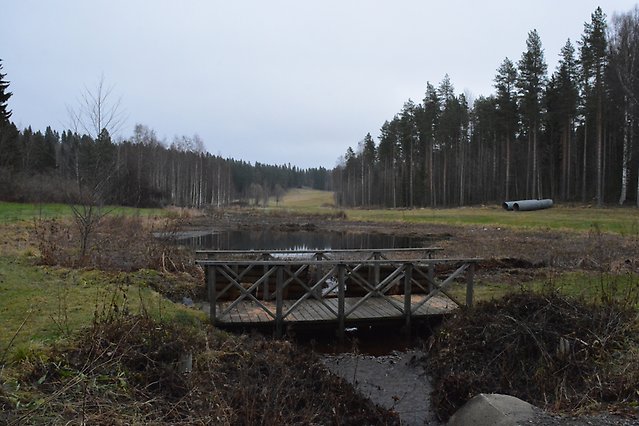Träbro
över ett smalt vattendrag i en parkmiljö med damm och omgivande gräs- och
skogsmark, innan åtgärder genomfördes.