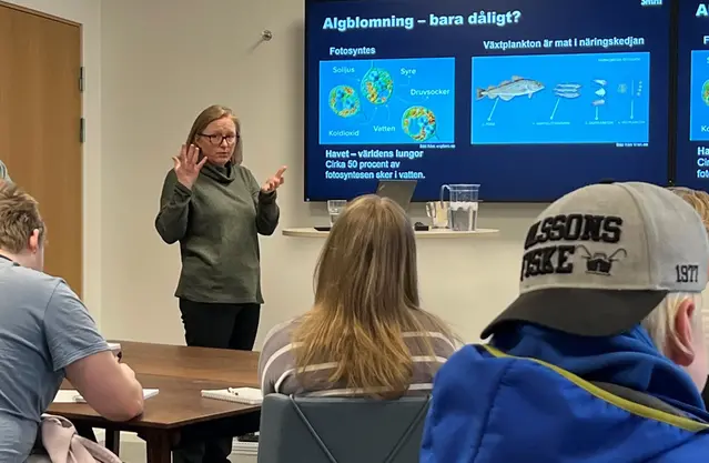 En kvinna håller en presentation för en klass.