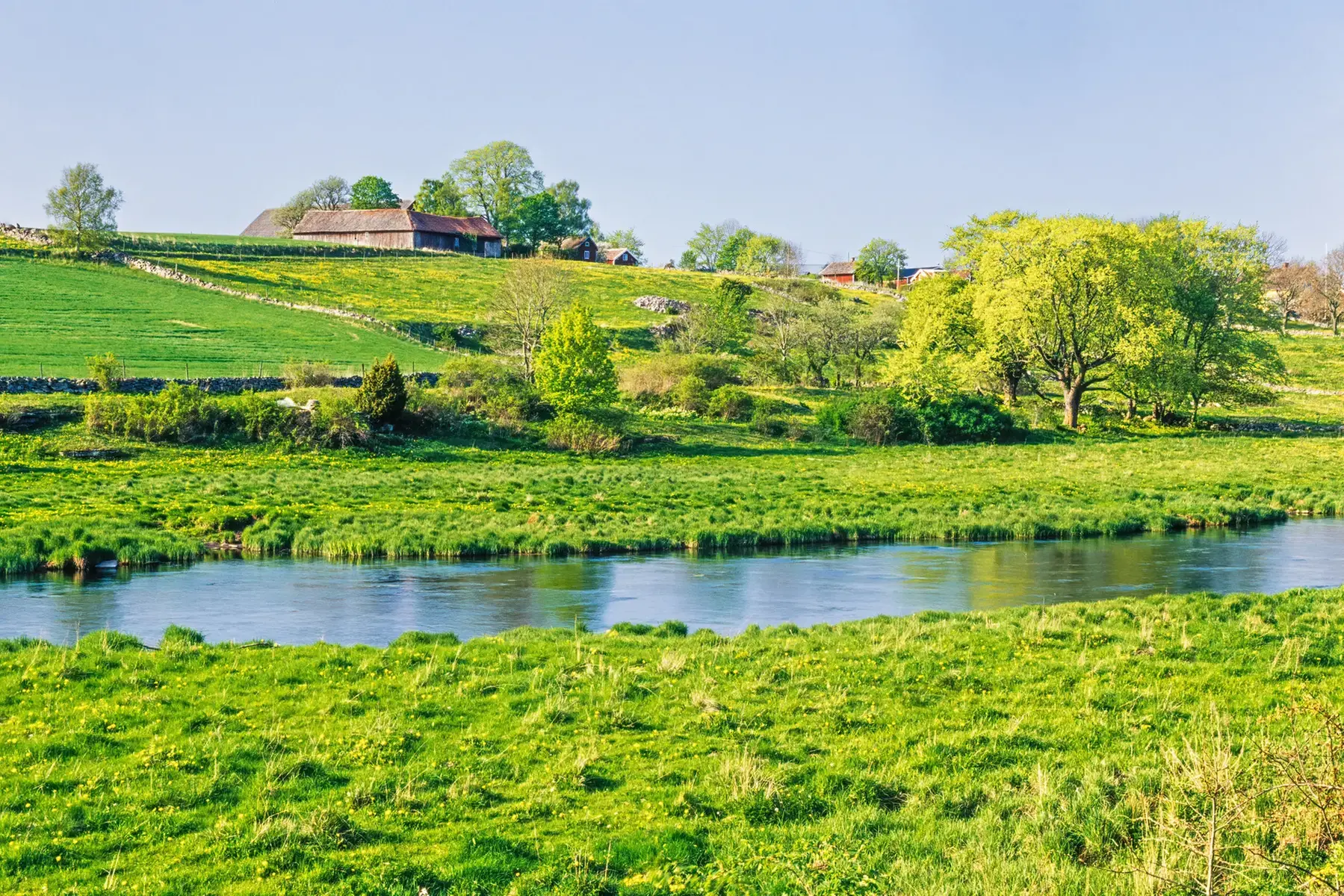 Grönskande jordbrukslandskap. Ett vattendrag rinner bredvid åkrarna.
