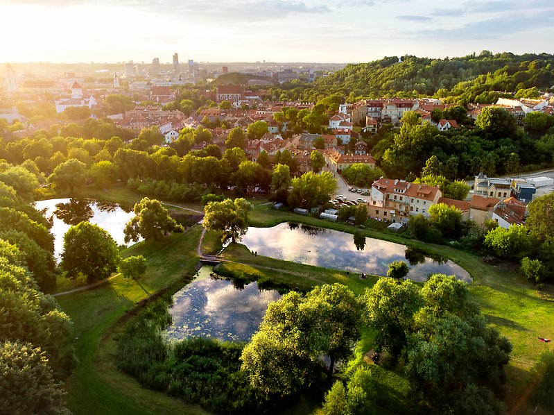 Aerial view of a park with trees and ponds. Behind it a part of a city with many trees throughout.
