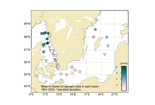 Figur: Koncentrationen (µmol/l) av oorganiskt kväve i ytvattnet (0-10 m).