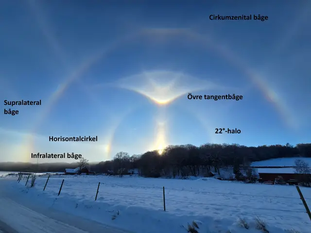 Supralateral och infralateral båge.