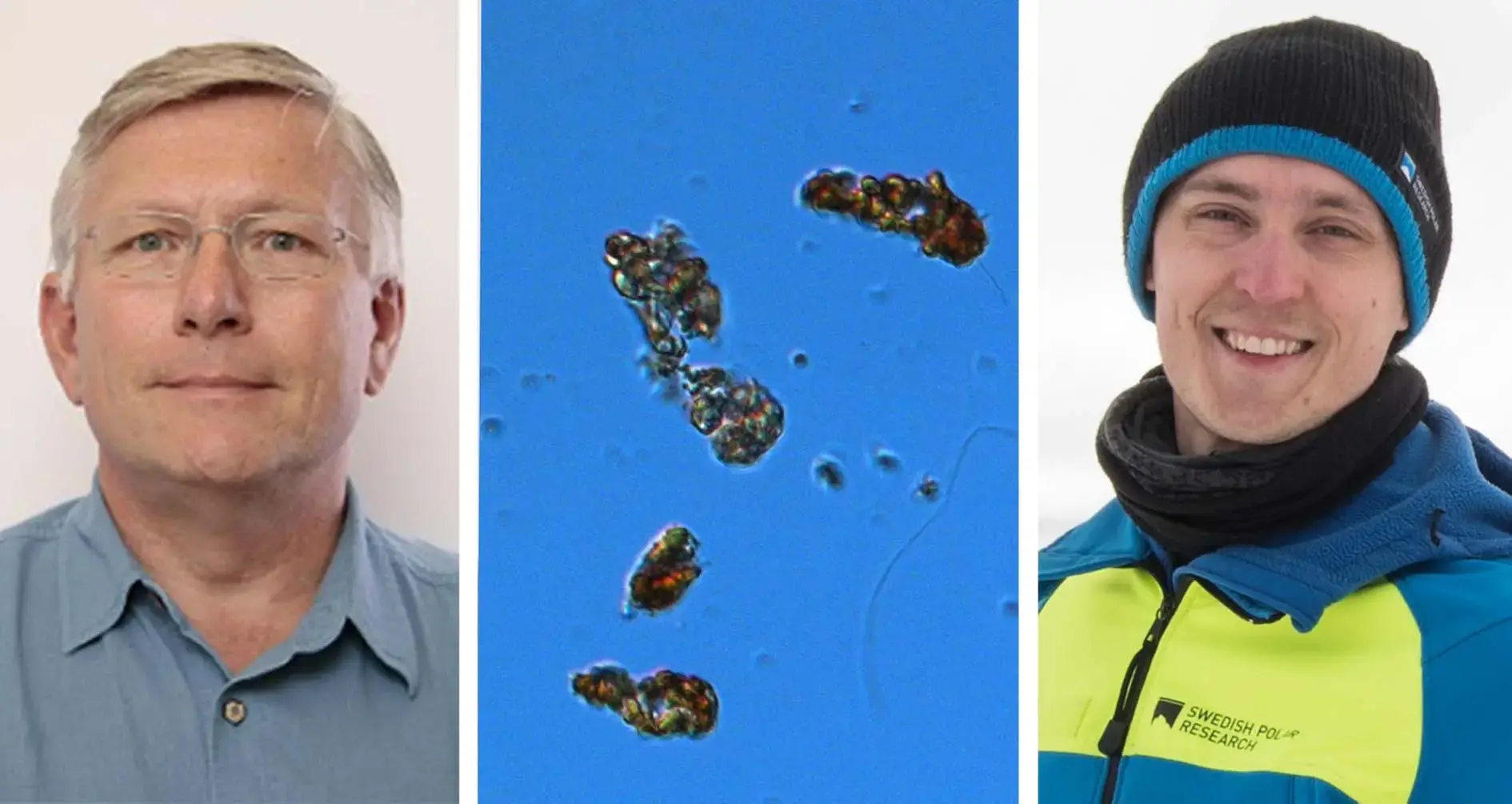 Två porträtt och en alg sedd i mikroskop.