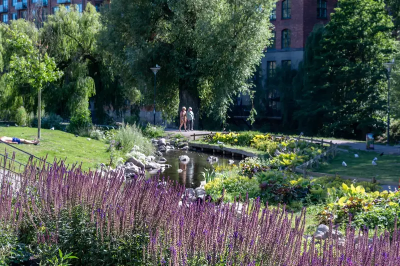 Människor som promenerar, en solig dag i Strömparken i Norrköping