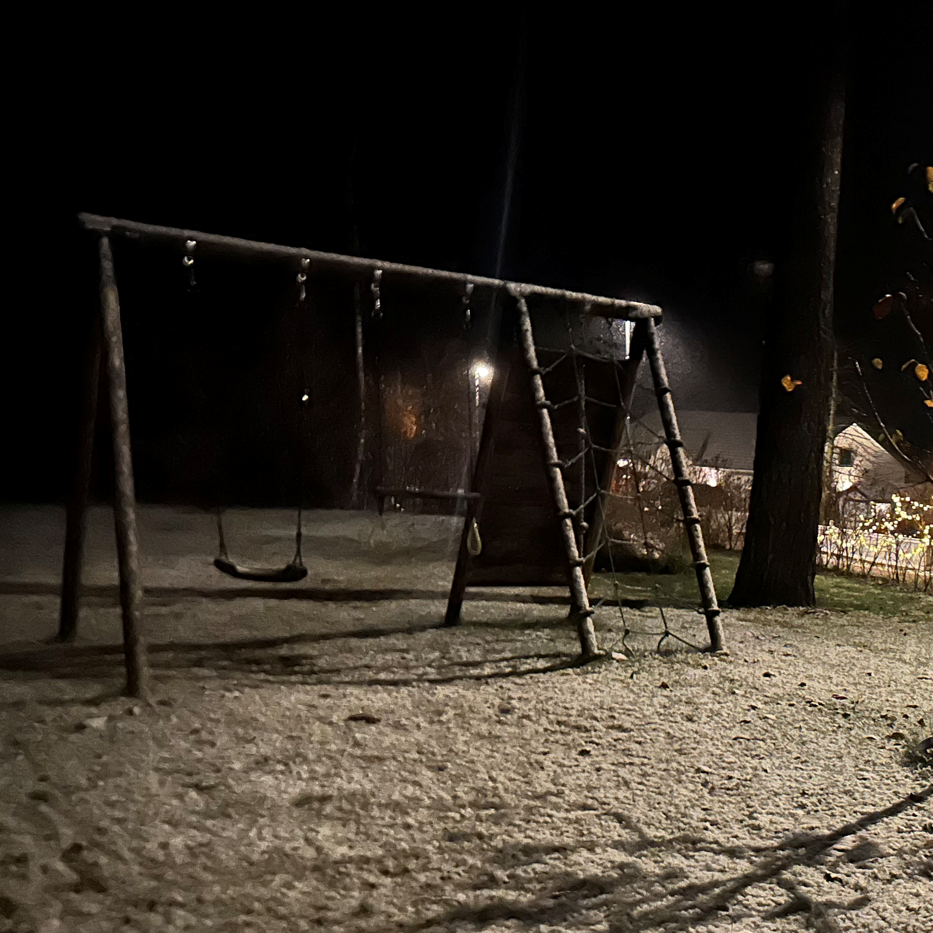 Den första snön i Kolmården i Östergötland föll den 14 november. Foto: Jonathan Klittmark