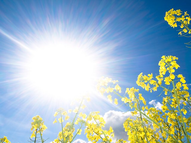 Solen skiner starkt.