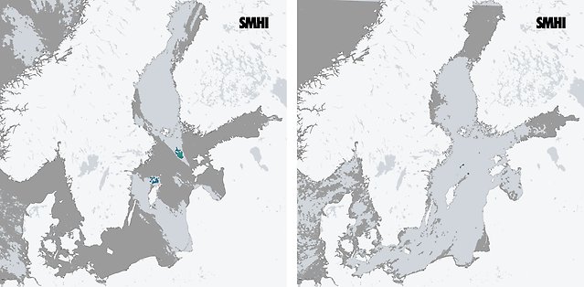 Två kartbilder som visar utbredningen av cyanobakterier, beskrivs i text på sidan.