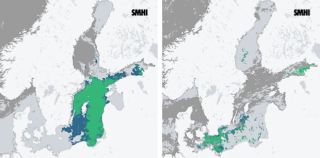 Kartbilder över utbredningen av cyanobakterier, beskrivs i text på sidan.