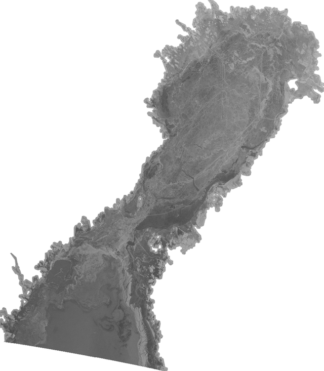 Isläget 20 februari. Hela Bottenviken, Norra Kvarken och en stor del av Bottenhavet är islagt. SAR-bild, Radarsat.
