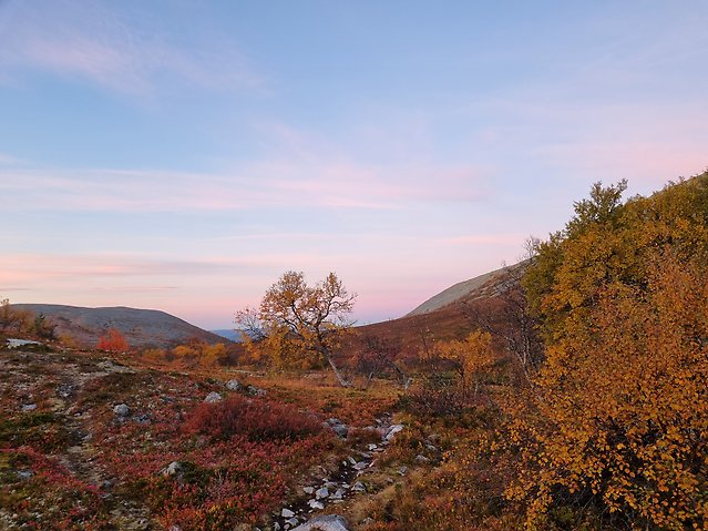 Bilden visar Sonfjällets fot i Härjedalen morgonen den 27 september 2026.