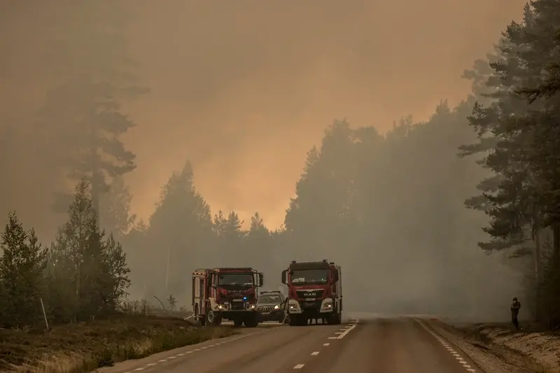 Två brandbilar och en ledningsbil släcker en skogbrand intill en landsväg.