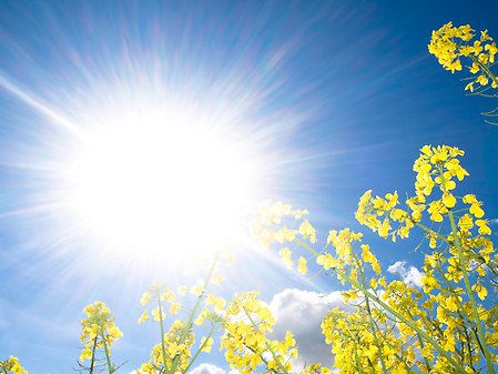 Solen skiner starkt.