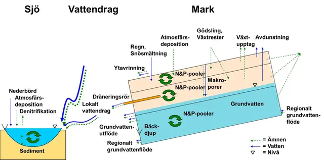Illustration som visar komponenterna i S-HYPE och kopplingarna mellan dem.