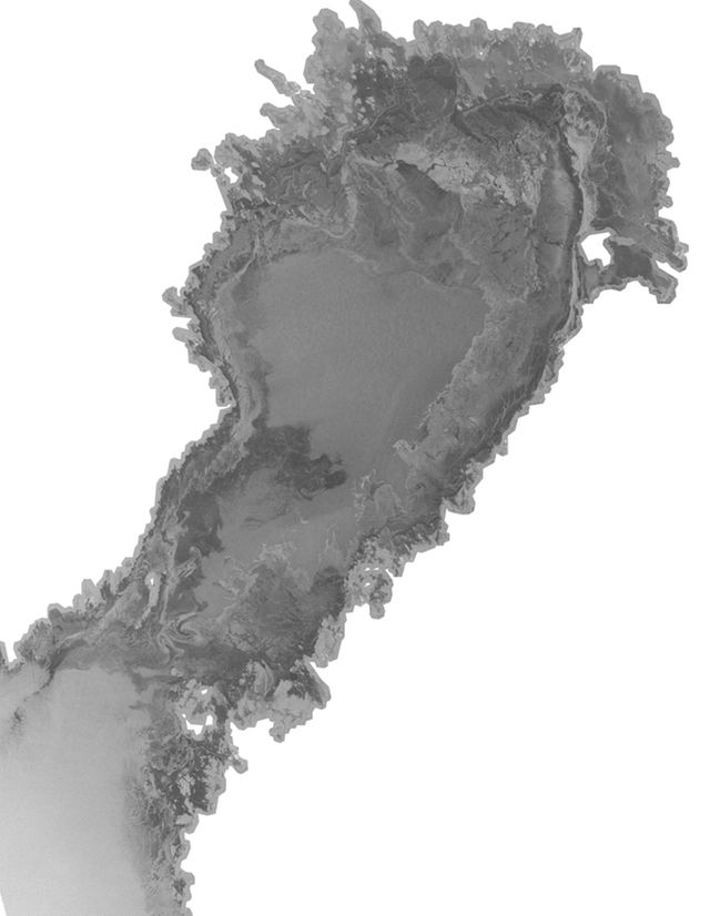 Isläget 23 januari. En stor del av Bottenviken och Norra Kvarken är islagd med tunn is. SAR-bild, Radarsat.