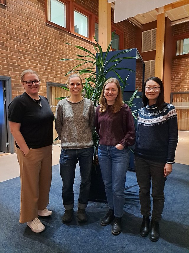 Bild på Maria Grundström, Eef van Dongen, Karolina Siegel och Wing Leung.