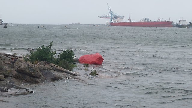 I Göteborg steg vattnet under stormen Lilian till en dryg meter över medelvattenståndet. Röda sten ligger vanligtvis en bit upp på torra land. Foto Fredrik Waldh.