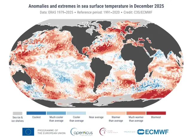 Karta över världshaven som visar ytvattenmedeltemperaturens avvikelse från det normala i december 2025.