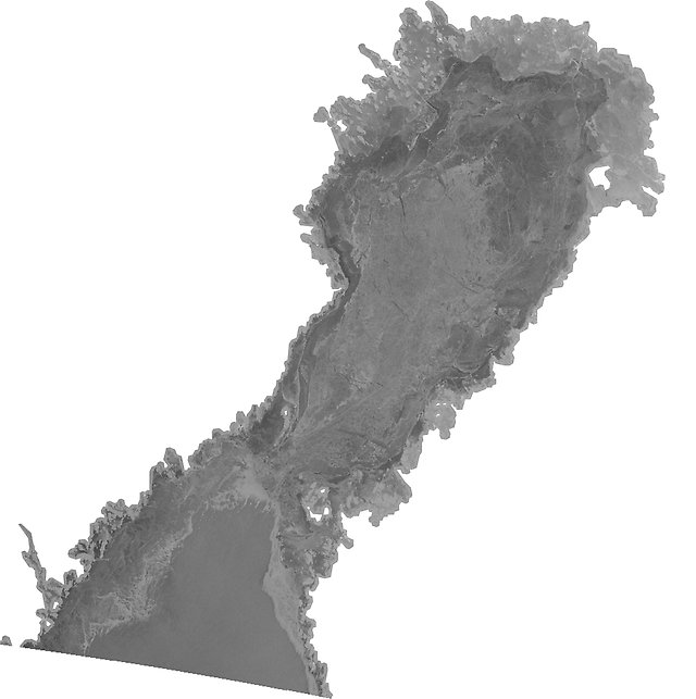 Isläget 21 januari. Hela Bottenviken, Norra Kvarken och norra Bottenhavet är islagt efter en tids kyla. SAR-bild, Radarsat.