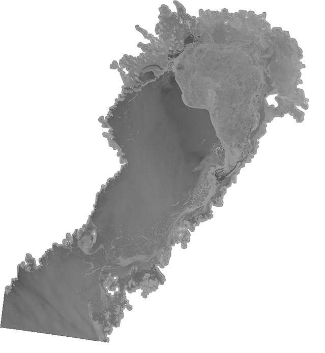 Isläget 4 februari. Milt och blåsigt väder har rivit upp isen och tryckt den åt nordost i Bottenviken. SAR-bild, Radarsat.