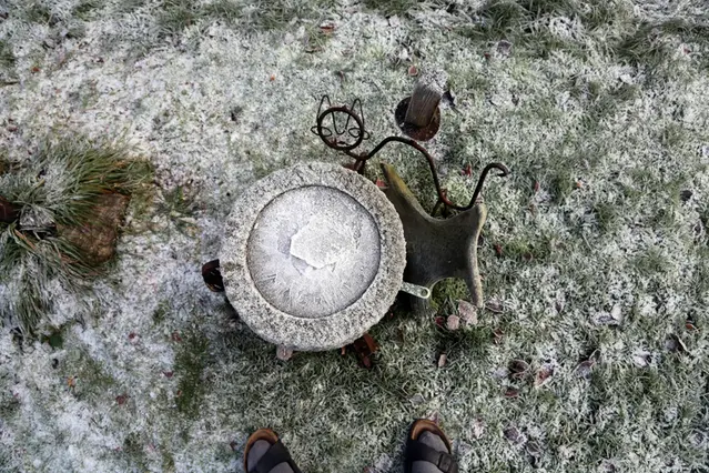 Frostigt trädgårdsbord.
