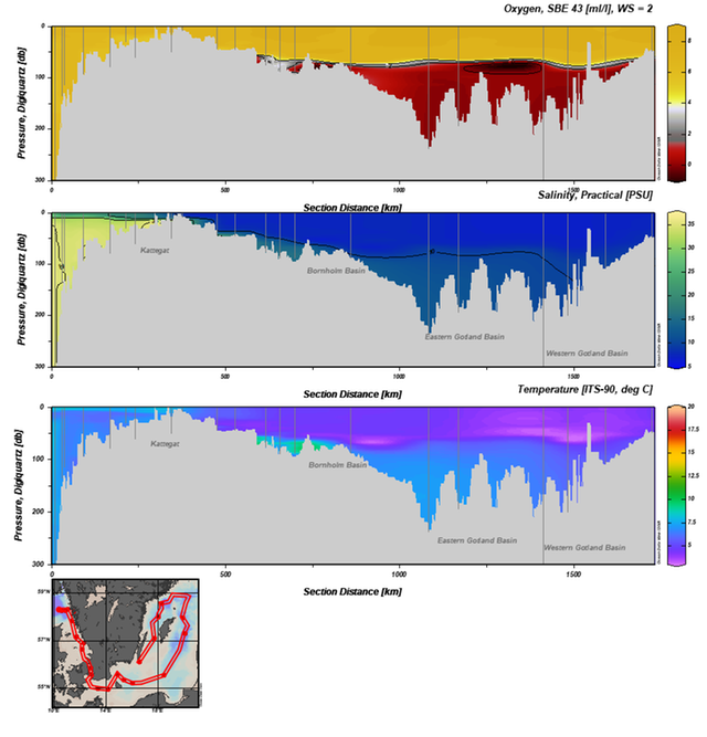 Snitt syrekoncentration