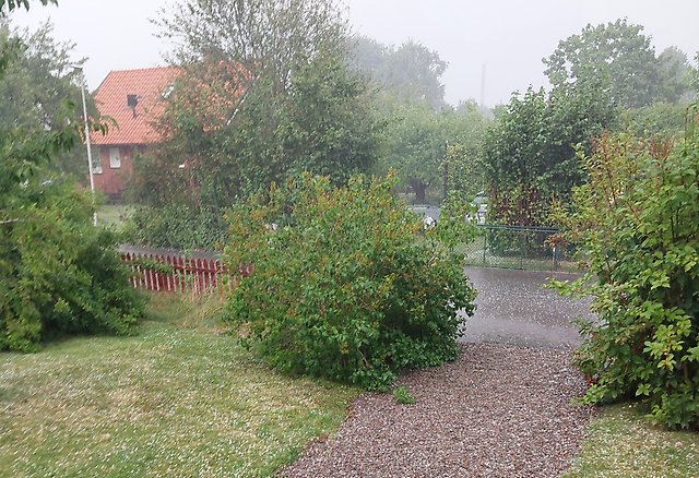 Hagel på marken