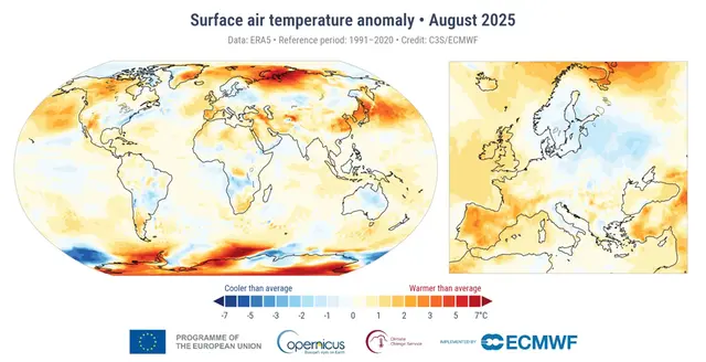 Världskarta som visar månadsmedeltemperaturens avvikelse från det normala i augusti 2025.
