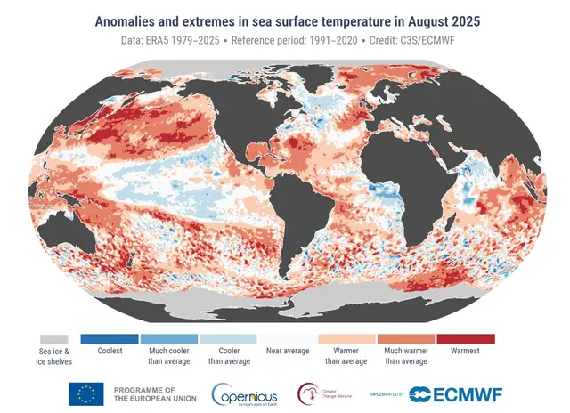 Karta över världshaven som visar havsytetemperaturens avvikelse från det normala.