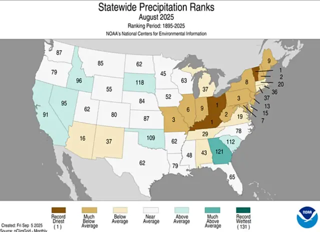 Karta över USA som visar en ranking delstatsvis av nederbörden i augusti 2025. 