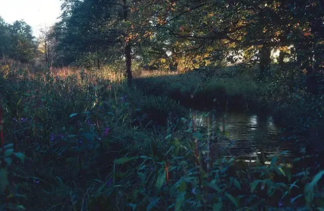 Ett höstigt Pjältån