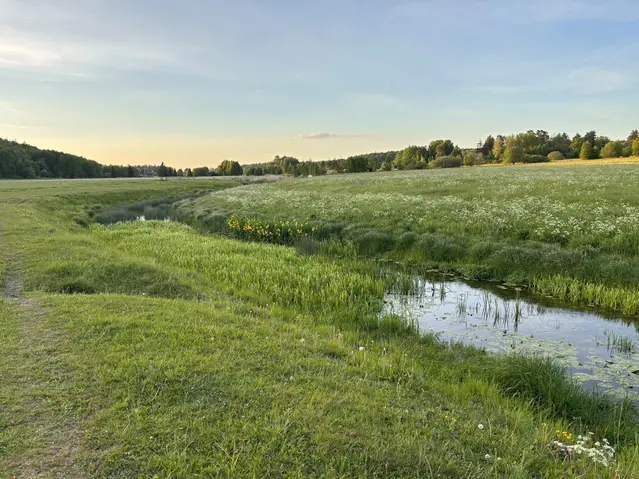 Grönska kring en å.