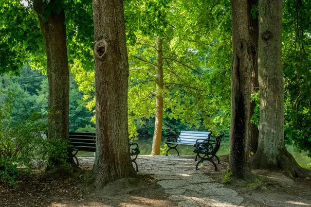 Fyra bänkar placerade i cirkel på en stenlagt yta omgiven av skuggande träd med vattenspegel i bakgrunden.