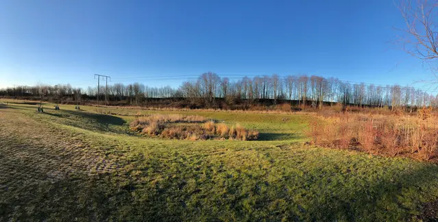 Foto över Pryssgårdsparken Norrköping med en damm i mitten och träd i bakgrunden