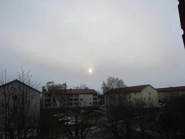 Bild tagen upp mot himmeln där tunna skiktmoln syns.