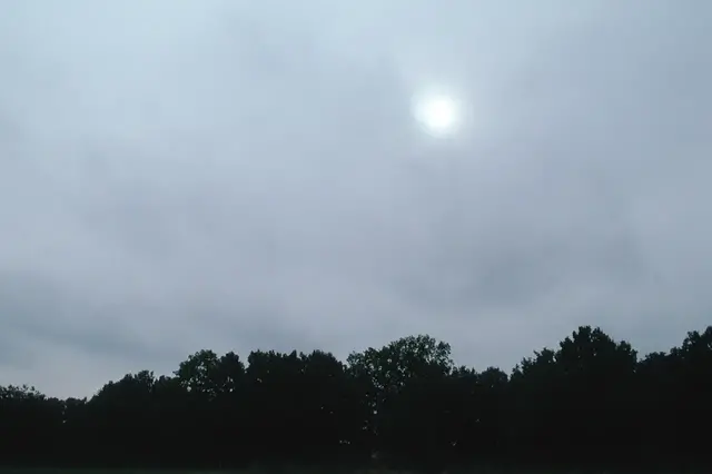 Foto tagen upp mot himmeln där molnen skiktmoln syns.