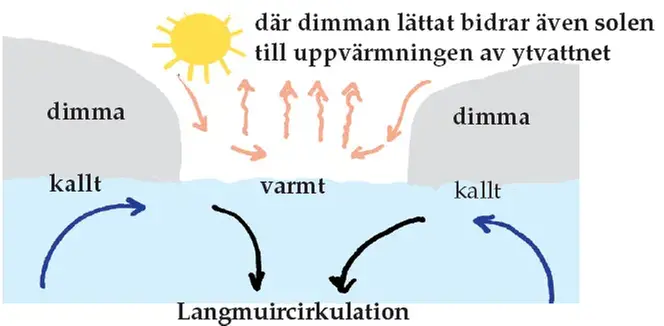 Fenomen i dimma - Lokal dimupplösning till havs — SMHI