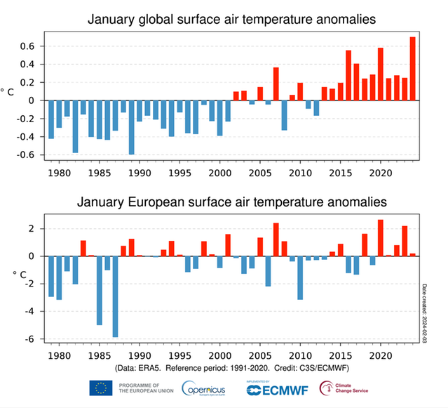 Stapeldiagram men temperaturavvikelser för olika januarimånader 1979-2024.