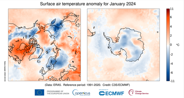 Kartor över temperaturavvikelsen i januari 2024 för Arktis respektive Antarktis. 