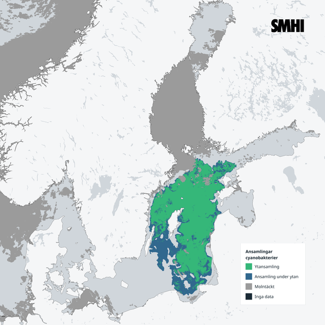 Karta som visar ansamling av cyanobakterier