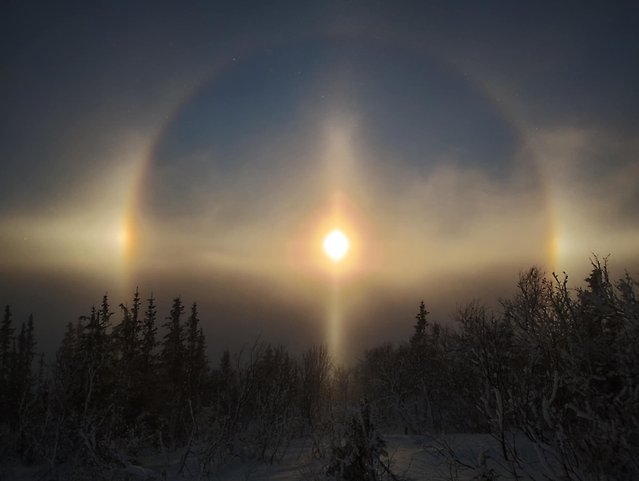En halo med olika komponenter i åre
