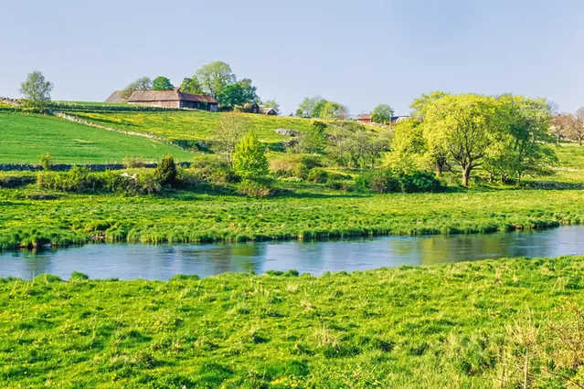 Grönskande jordbrukslandskap. Ett vattendrag rinner bredvid åkrarna.
