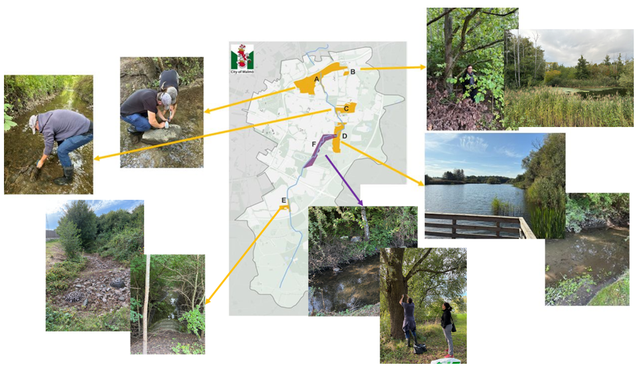 Map centering riseberga stream, with six areas (NBS-sites) marked with colour.
