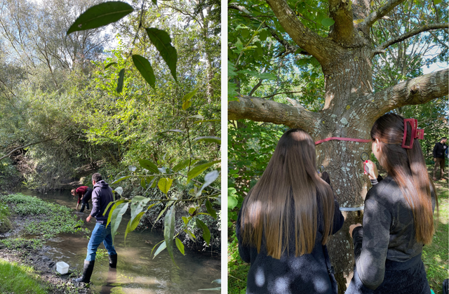 Two photos. One showing two people standing in a shallow stream with greenery around. One of the backs of two girls, who are observing lichens on a tree.