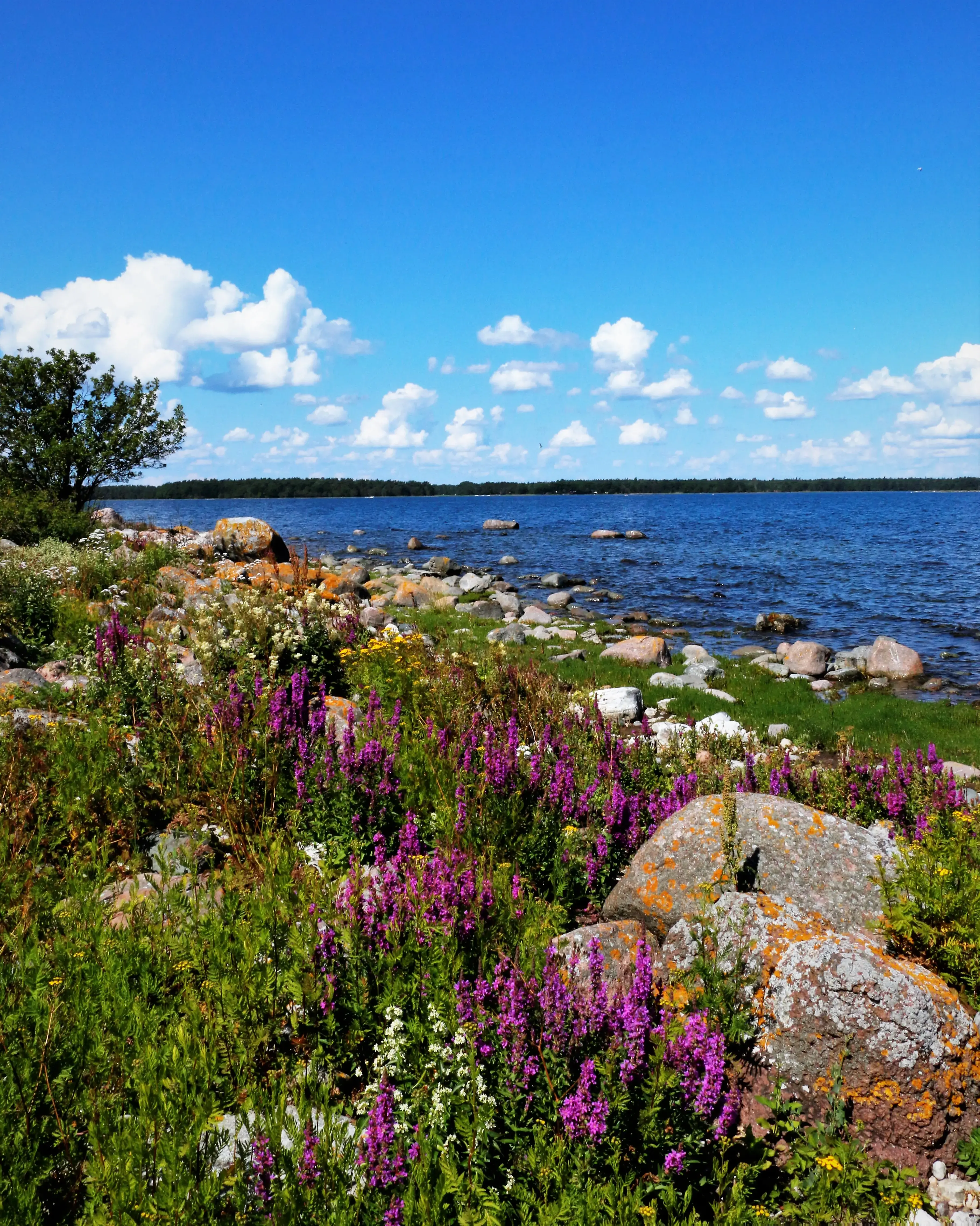 Bild som visar exempel på växlande molnighet på morgonen.