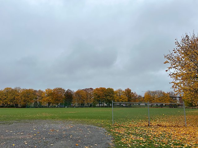 Gråväder över Uppsala den 25 oktober. Foto: Emma Rosengren