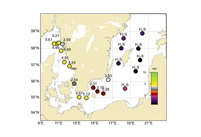 Karta som visar syrekoncentrationen (µmol/l) i bottenvattnet.