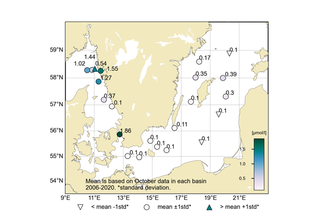 Karta som visar koncentrationen (µmol/l) av oorganiskt kväve i ytvattnet (0-10 m).