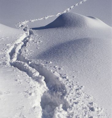 fotspår i snön