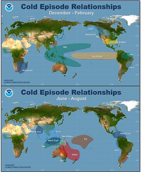 Figur 21. Typiska avvikelser från det normala klimatet runt om i världen under en La Niña. 