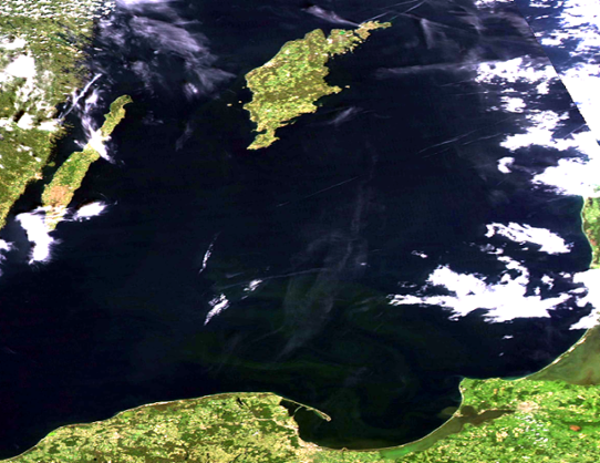 Satellitbild - cyanobakterieblomning i sydöstra Östersjön 6 juni 2016